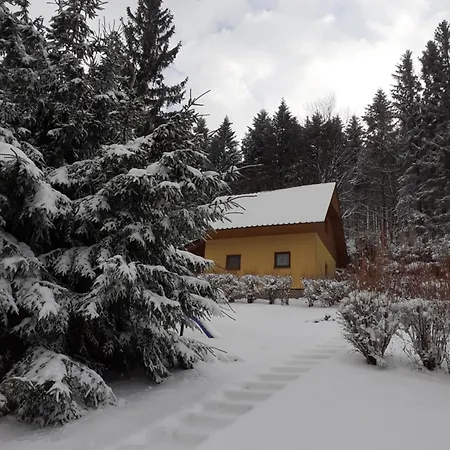 Pod Knizeci Daire Trojanovice