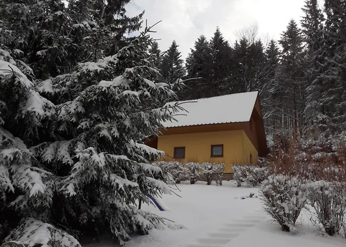 Pod Knizeci Lägenhet Trojanovice